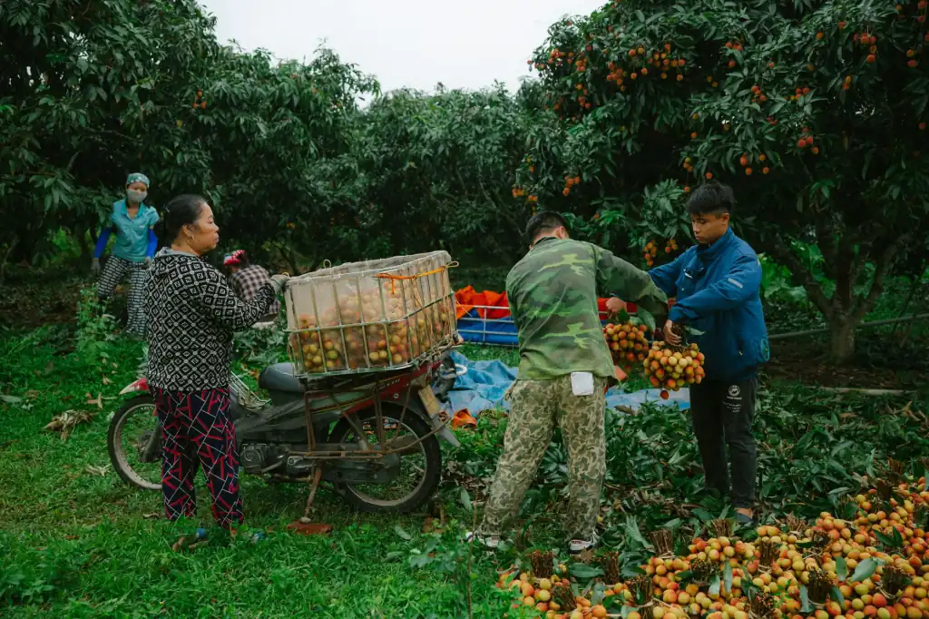 西安家装瓷砖选购指南：赵氏建材详解吸水率与硬度关键指标封面图
